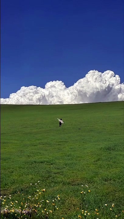 Scenery beautiful