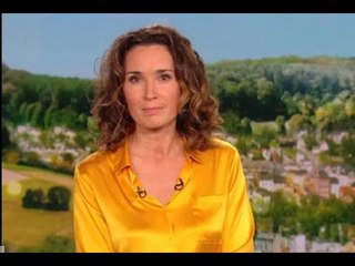 Marie-Sophie Lacarrau : Incident au JT de TF1, une erreur humaine en cause ? 📰