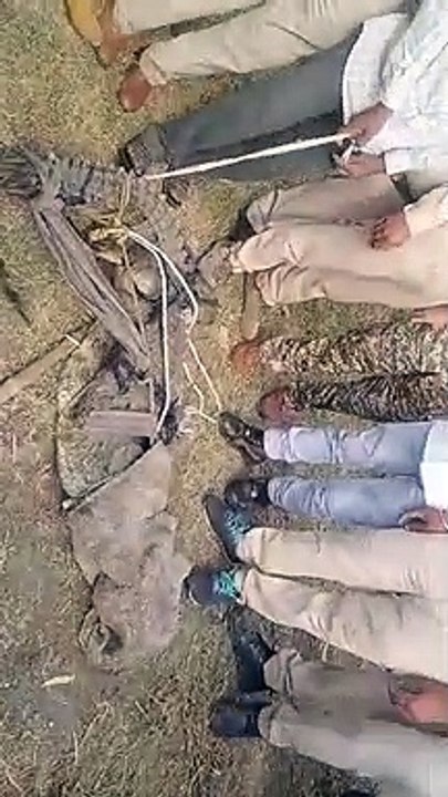Crocodile found on NH 346A in Mungavali Ashoknagar