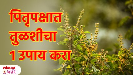 पितृपक्षात करा तुळशीचा  उपाय, पिंडदानाचे पुण्य मिळेल Pitru Paksh 2023 | KA3