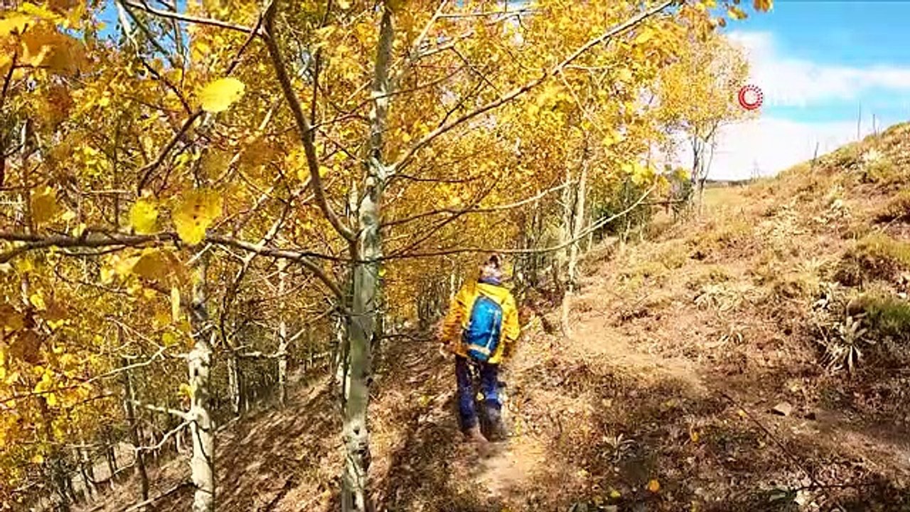 Festival des couleurs d'automne dans les montagnes de Gümüşhane