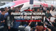Usai Diresmikan Jokowi, Tarif Kereta Cepat whoosh Gratis hingga Pertengahan Oktober