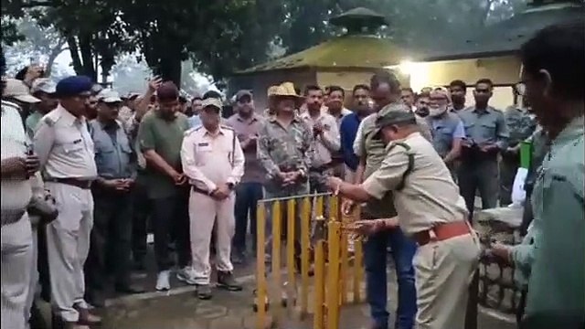 पहले दिन ही वनराज के दीदार, रोमांचित हुए पर्यटक
