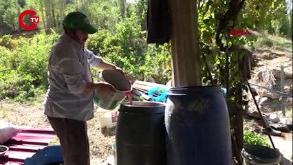 HİZAN DA 150 YILLIK PEKMEZ GELENEĞİ