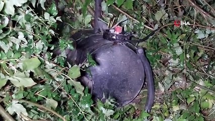 Une voiture a percuté un camion à Samsun et a roulé dans un fossé ; le mari et la femme ont été grièvement blessés.