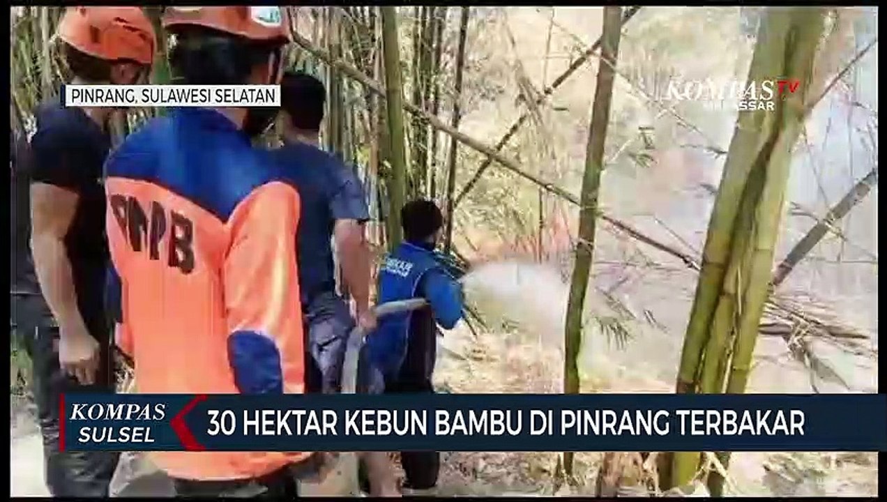 30 Hektar Kebun Bambu Di Pinrang Terbakar Video Dailymotion