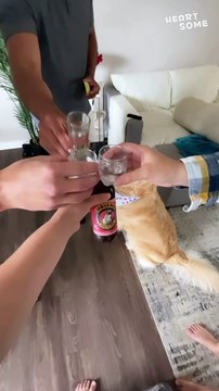 Pawsitively Adorable: Dog's 3rd Birthday Celebration & Gift Unwrapping || Heartsome #heartsome