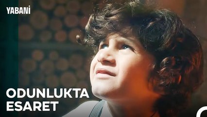 Geçmişin Tozlu Kapıları Aralandı - Yabani