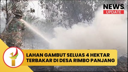 Lahan Gambut Seluas 4 Hektar Terbakar Di Desa Rimbo Panjang