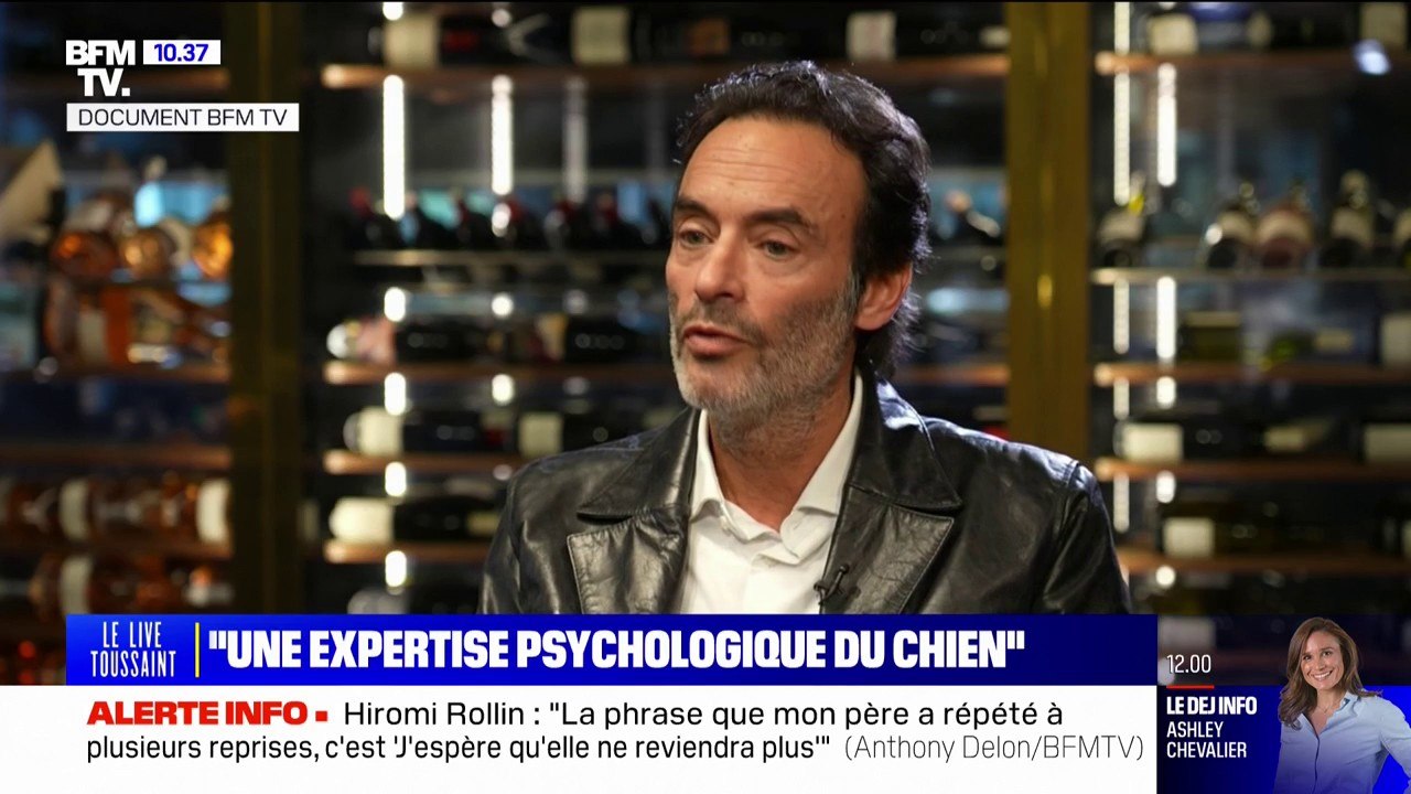 Anthony Delon: "Mon père nous a dit 'elle [Hiromi Rollin] frappe le chien, elle le bat avec le taser'"
