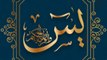 Surah yaseen ki Fazilat | Islamic knowledge