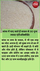 सांवा में पाए जाते हैं चावल से 30 गुना ज्यादा एंटीऑक्सीडेंट, गंभीर रोगों में है लाभकारी