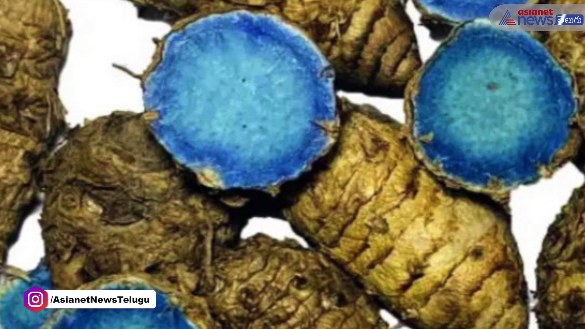 పసుపు నల్లగా ఉంటుందా అని ఆశ్చర్యపోకండి...దీనివల్ల కలిగే ఆరోగ్యప్రయోజనాలు తెలుసుకోండి...