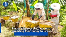 Joy as Kirinyaga farmers start exporting their honey to Israel