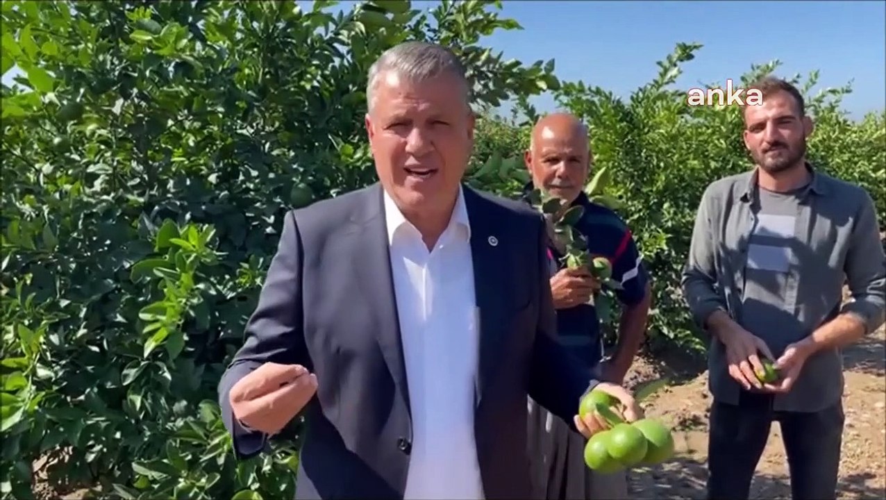 Ayhan Barut： ＂Les producteurs de citrons sont si malheureux qu'ils ont commencé à abattre leurs arbres. Tous ces éléments constituent la richesse nationale. Voir la misère du producteur de citron＂