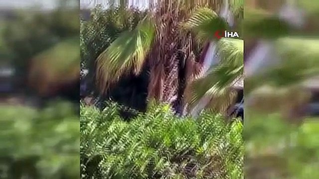 Adana'da vinç sepeti kırıldı, düşen 2 işçi emniyet kemeri sayesinde havada asılı kalarak kurtuldu