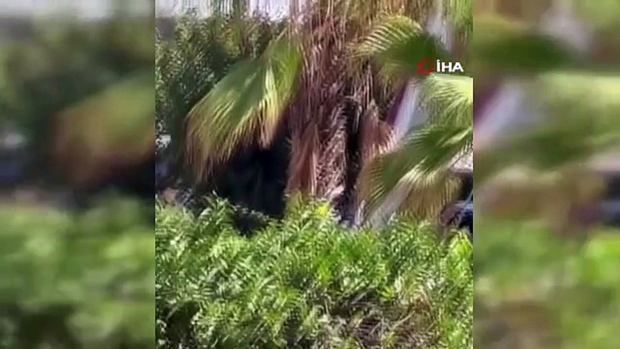 Le panier de la grue s'est brisé à Adana, 2 ouvriers tombés ont survécu en s'accrochant en l'air grâce à leurs ceintures de sécurité