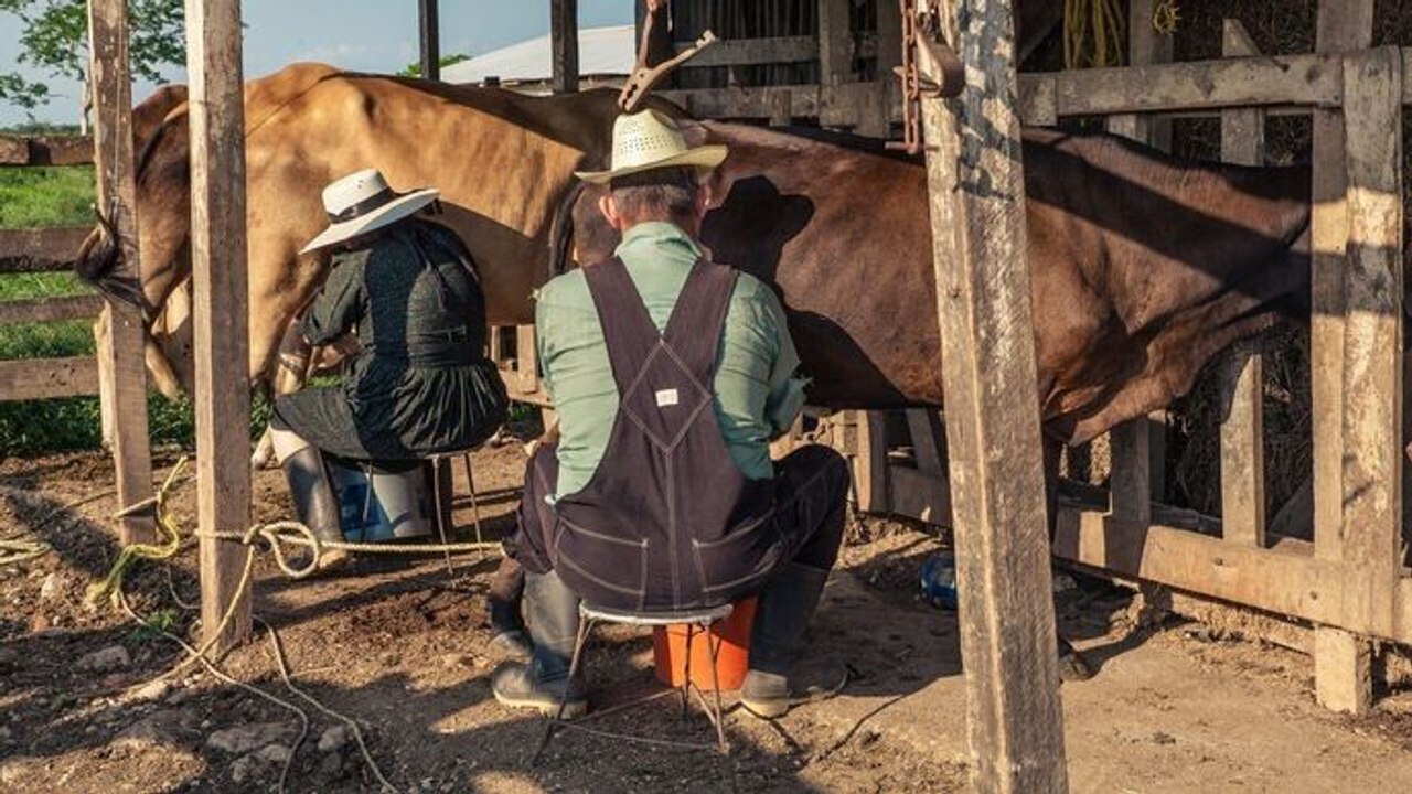 Mennonites : enquête sur la communauté la plus fermée du monde