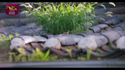 Sihina Charikawe Episode 21 | Dive into the Dream Journey 🌟