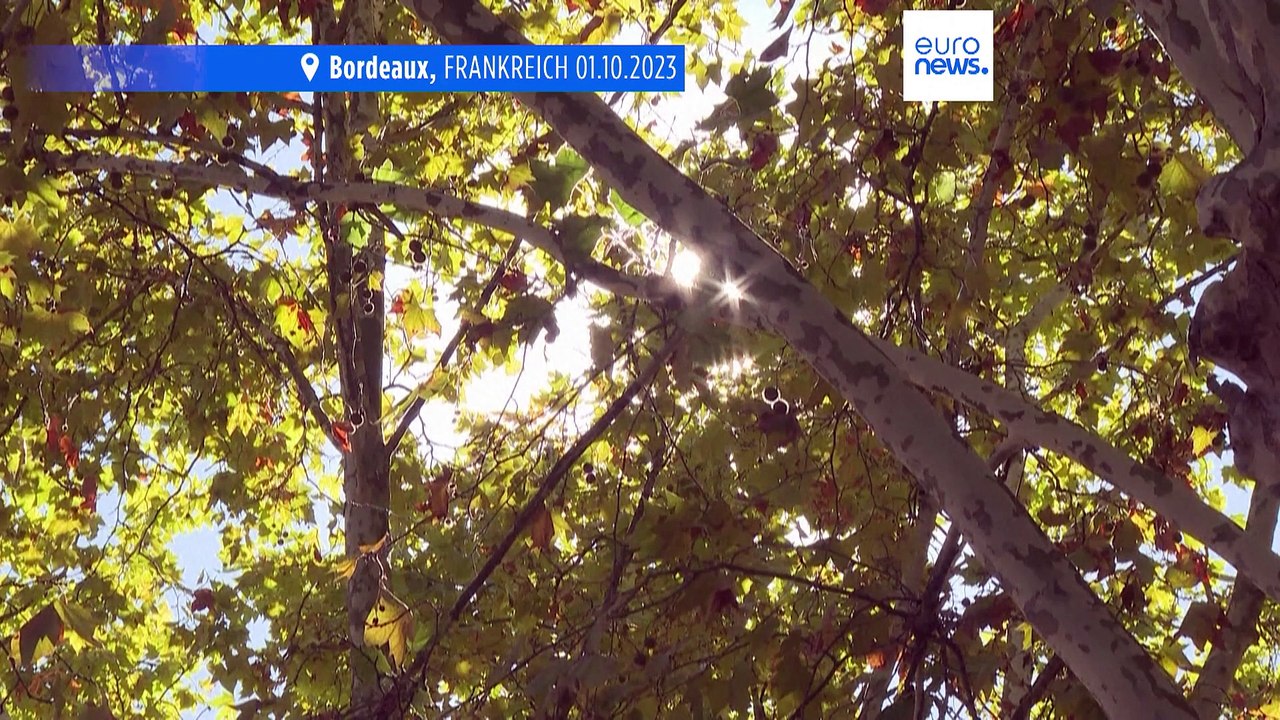 Hitzewelle mit 34,5°: 'Wie im August, aber es macht auch Angst'