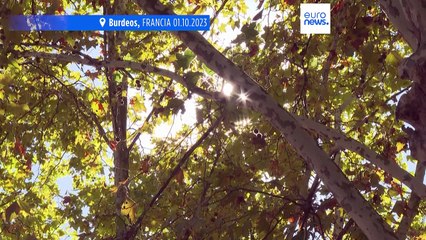 Cambio climático | Europa bate récords de temperatura en septiembre