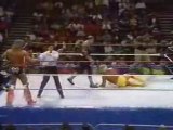 Hulk Hogan & Ultimate Warrior Vs Undertaker & Sgt. Slaughter