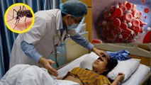 डेंगू में प्लेटलेट्स क्यों कम होता है | Dengue Me Platelets Kyu Kam Hota Hai | Boldsky