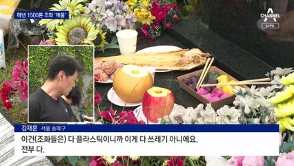 “조화 대신 생화로 헌화”…조화 쓰레기 해마다 1500톤