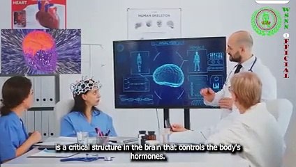 The Future of Brain Surgery with Artificial Intelligence
