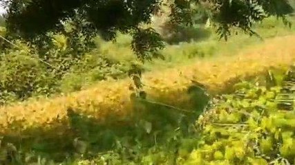 धार: खेत में टूटा पड़ा हुआ था तार,अचानक पहुंचा मासूम फिर...