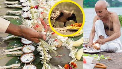 Kunwara Panchami 2023: पितृ पक्ष में कुंवारा पंचमी तिथि के दिन क्या करना चाहिए क्या नहीं | Boldsky