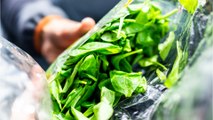 Rappel produit : cette variété de salade verte ne doit pas être consommée, elle est contaminée à la Listeria !