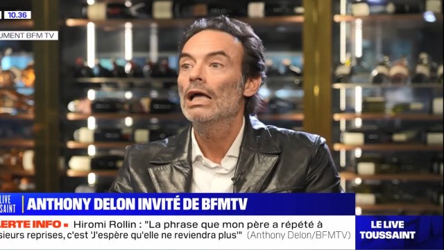 « Elle bat le chien avec le taser » : les confidences glaçantes d'Alain Delon à son fils sur Hiromi