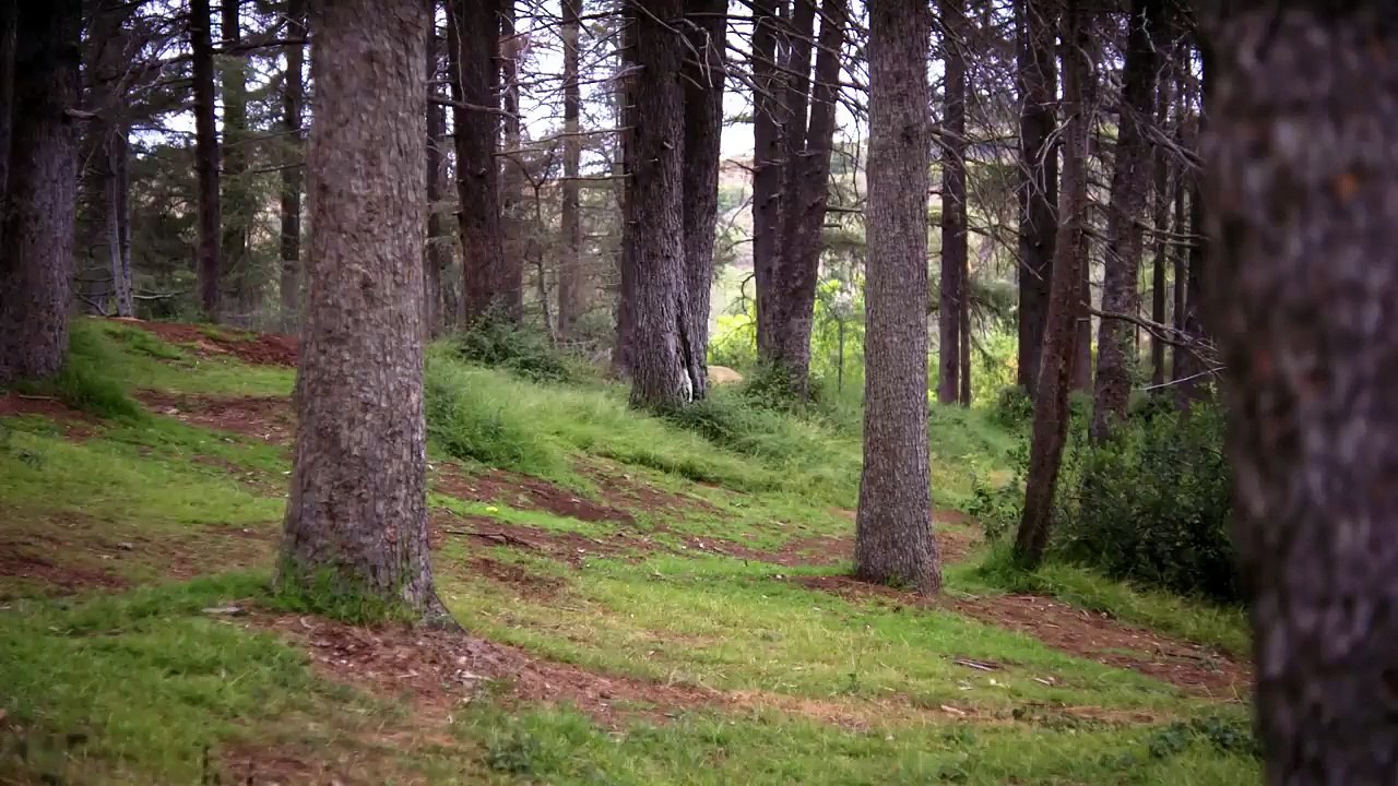 Pokémon GO – Bande-annonce officielle