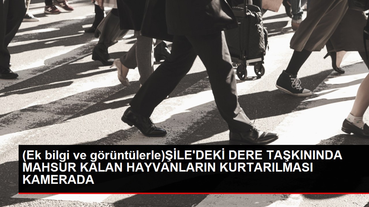 Şile'de Sağanak Yağış Sonrası Koca Deresi Taştı