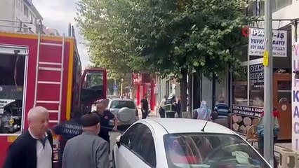 Des chatons pris au milieu de l'incendie ont été secourus par les pompiers