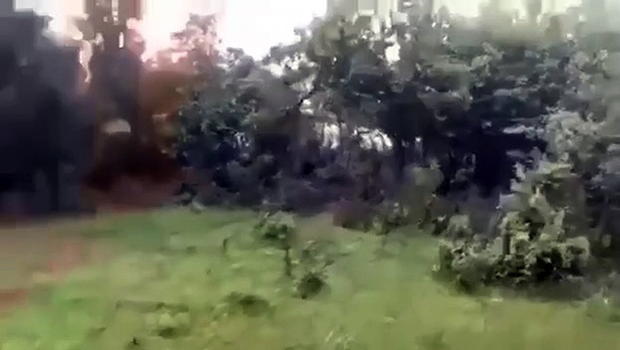 Arusha