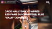 Jade Hallyday en bikini sur Instagram : d'après les fans du chanteur, elle 