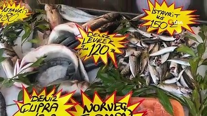 Les anchois, qui ont atteint 150 lires la semaine dernière, sont très bon marché cette semaine.