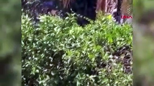 Sepeti kırılan vinçten düşen işçiler, emniyet kemeri sayesinde hayatta kaldı