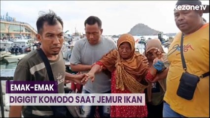 Video herunterladen: Emak-Emak Digigit Komodo saat Jemur Ikan di Depan Rumahnya di Pulau Rinca