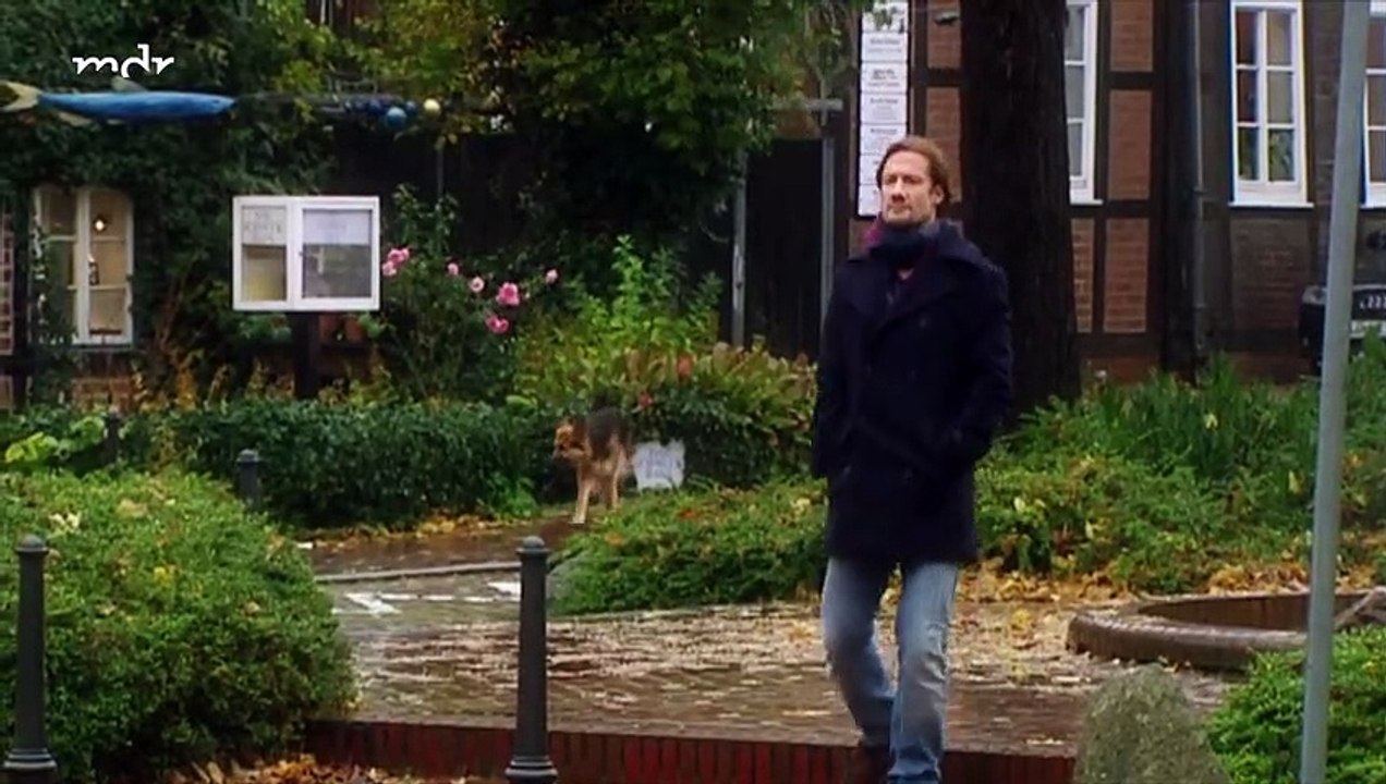 Rote Rosen 969 video Dailymotion