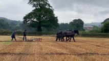 Horse Ploughing at Cheriton Fitzpaine match