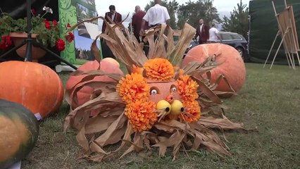 Święto Dyni w północnej Wielkopolsce - w Dobrzyniewie gm. Wyrzysk