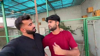 Surkhab Ko Shayan Ny Bhr Nikal Dia