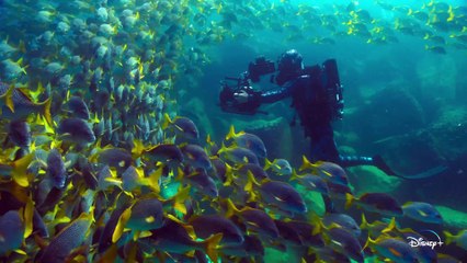 Au plus près des animaux avec Bertie Gregory