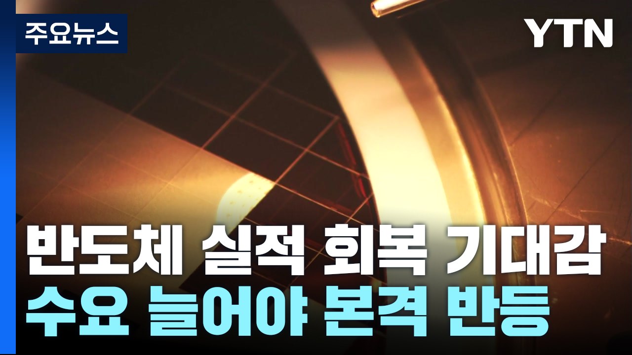 반도체 수출 1년 만에 최고치...실적 기대감 퍼지지만 / YTN