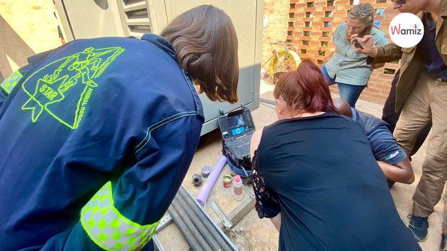 Un chaton s’engouffre dans un tuyau : les sauveteurs mettent deux jours pour lui sauver la vie