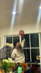 Hochets de rongeurs massifs pour femmes