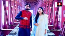 Dhola Beparwah Tenu Bhul Jawa - Zakir Ali Sheikh New Punjabi Saraiki Song 2023 - #Trending